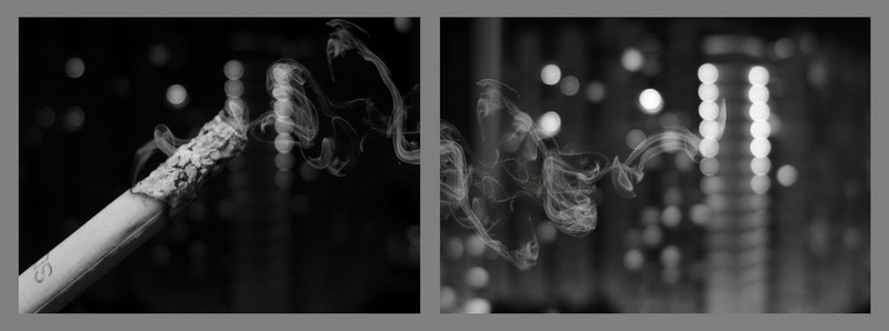 Illustration for article titled Shooting Challenge: Bokeh, Gallery 3